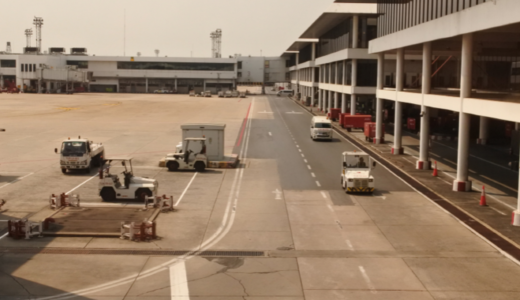 2025年にNikonとOLYMPUSで撮った写真