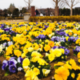 【東京から30分！船橋1日観光】おじさん2人で巡る写真撮影の旅