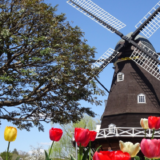 おじさん2人の船橋フォト散歩（下調べ編）