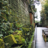 猿島のラピュタ化現象を撮る！要塞跡の撮影スポットと横須賀グルメ