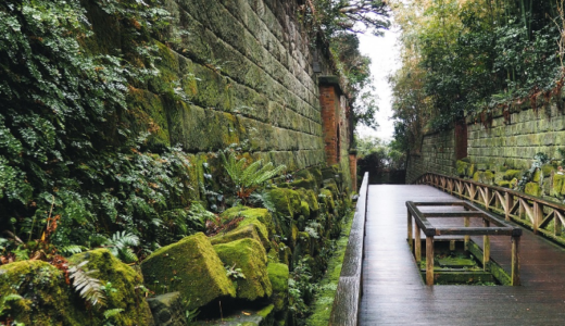 猿島のラピュタ化現象を撮る！要塞跡の撮影スポットと横須賀グルメ